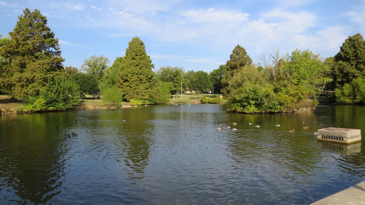 Image from Braden Park taken on Thursday 16th of October 2025